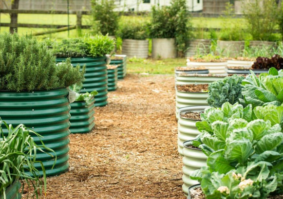 How Greenhouse Kits Are Empowering Gardeners and Growing Communities